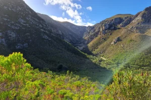 Bikini House holiday accommodation in Hermanus
